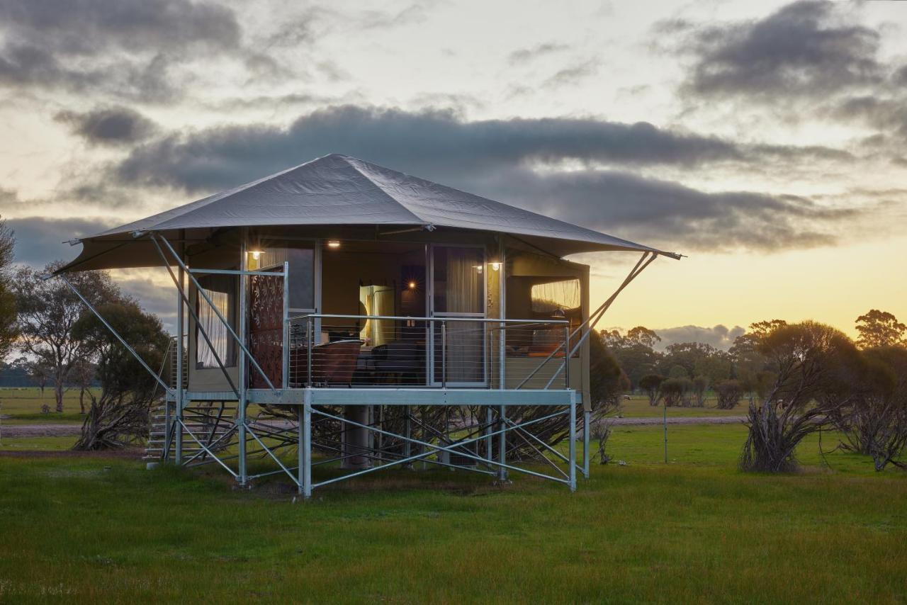 Willow Wood Glamping Retreat Broadwater Екстериор снимка
